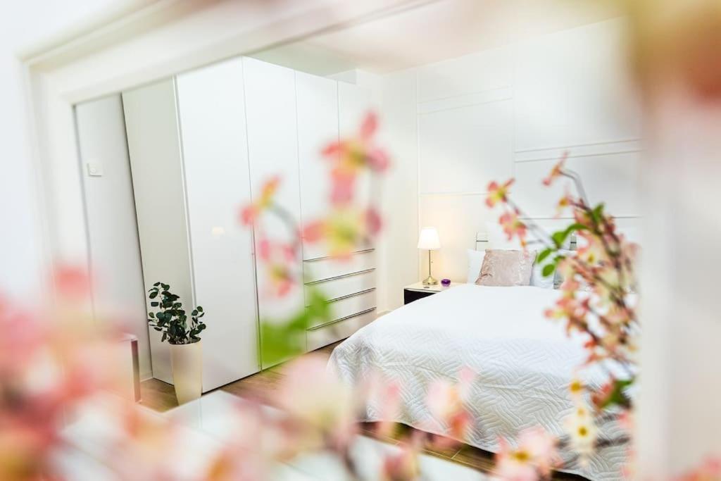 Charmante Wohnung In Koblenzer Innenstadt Coblence Extérieur photo